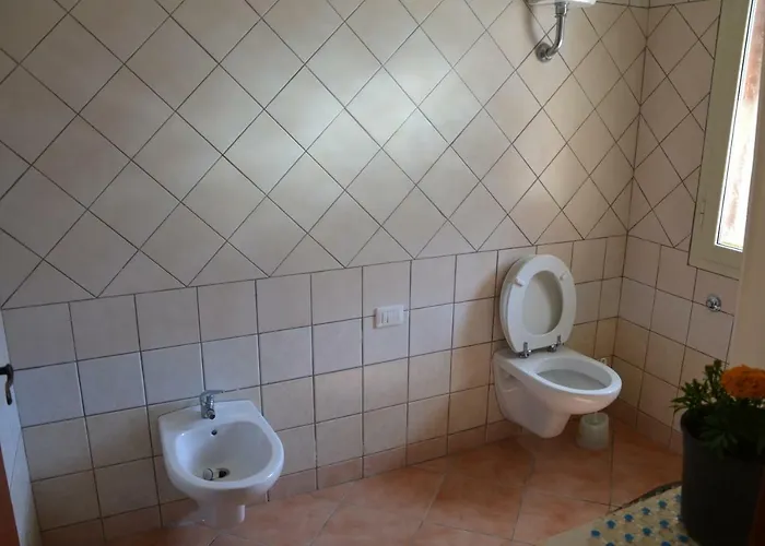 Shaka Apartment